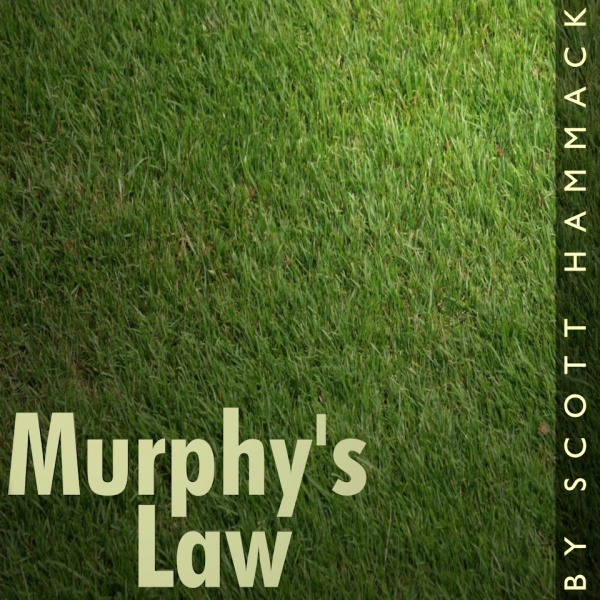 File:Murphy's Law cover.jpg
