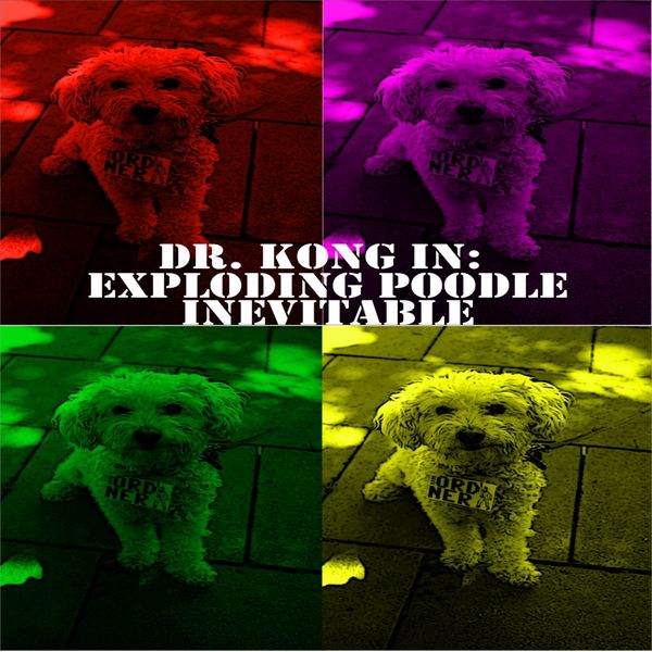 File:Kong-Poodle-Cover.jpg